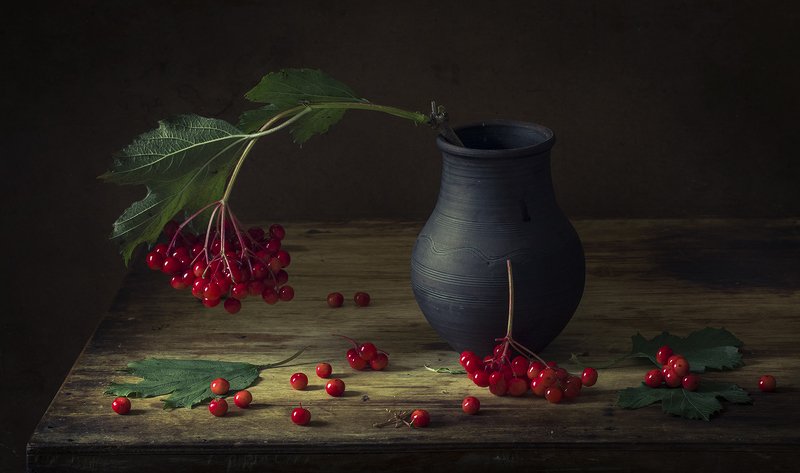 Калина фото превью