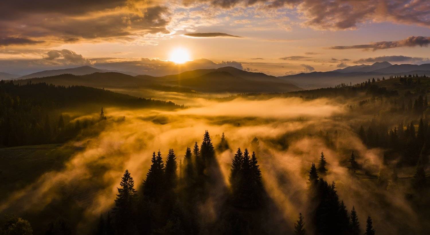 карпаты, туман, рассвет, Антон Петрусь