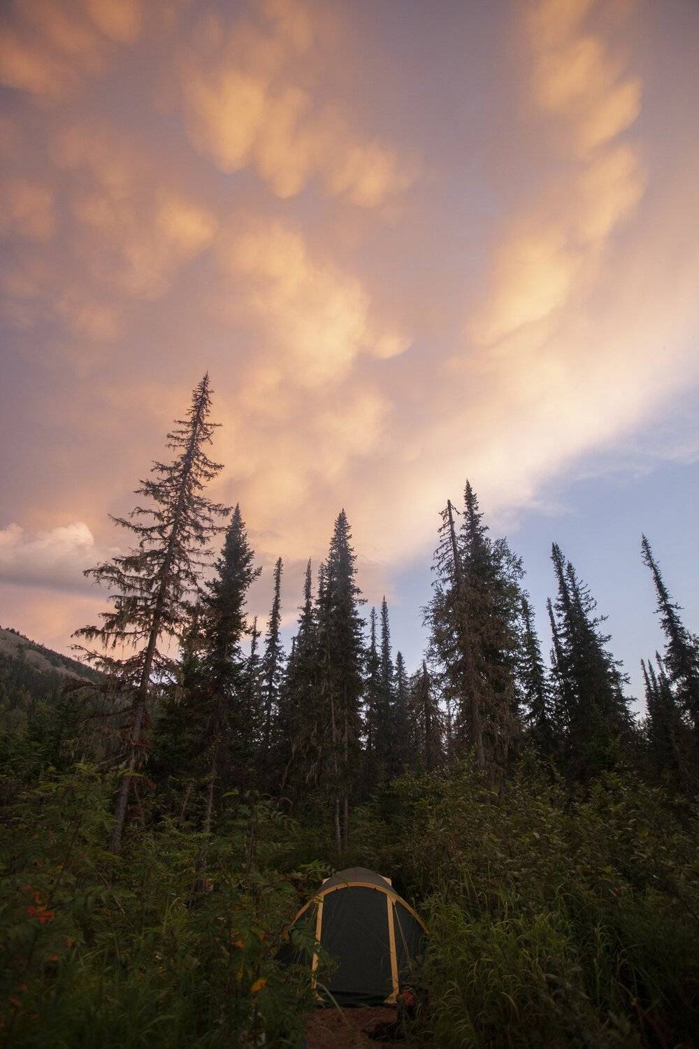 красиво, природа, вечер, тайга, небо, Бахтин Вячеслав