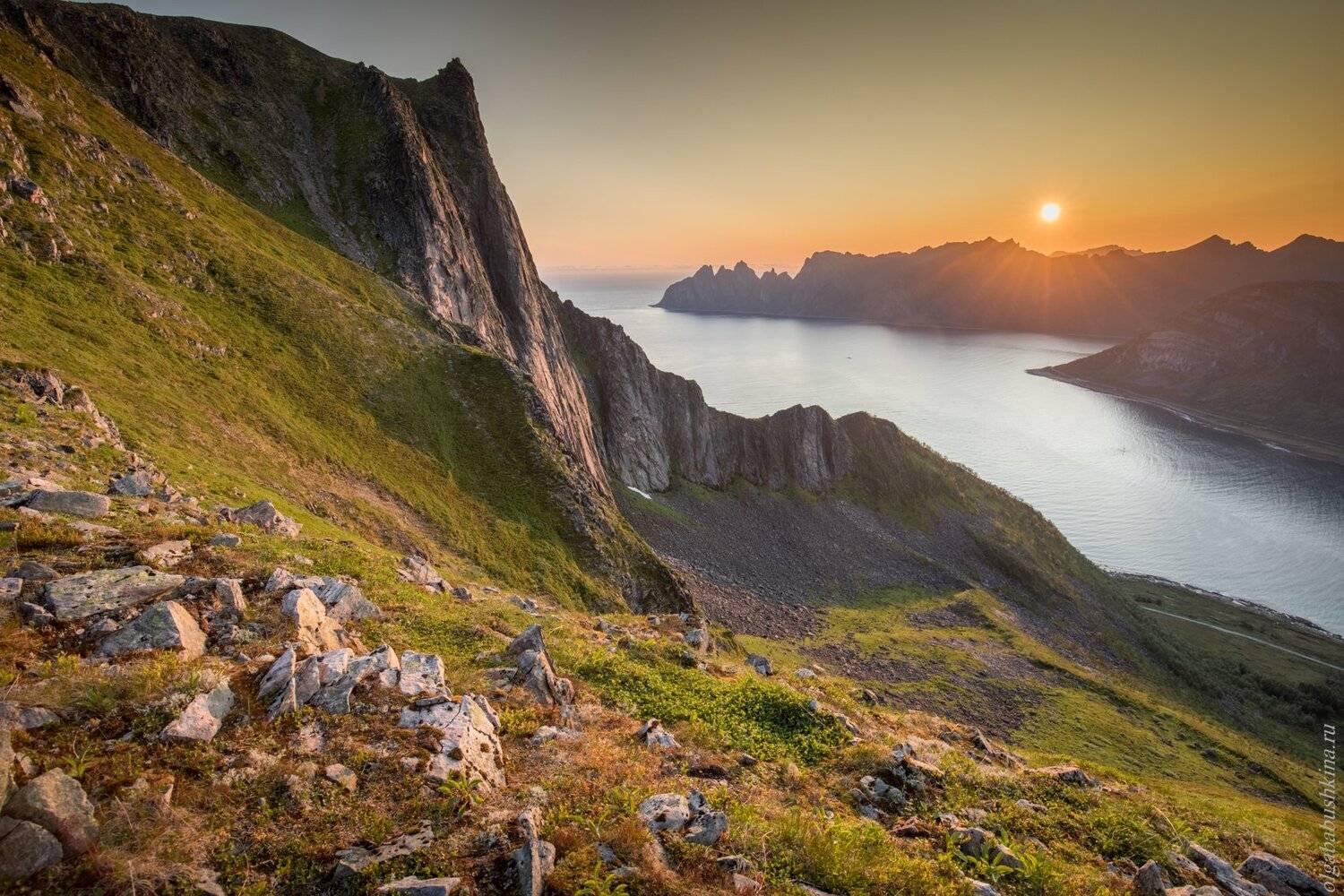norway, сенья, норвегия, рассвет, фьорд, Ольга Бабушкина