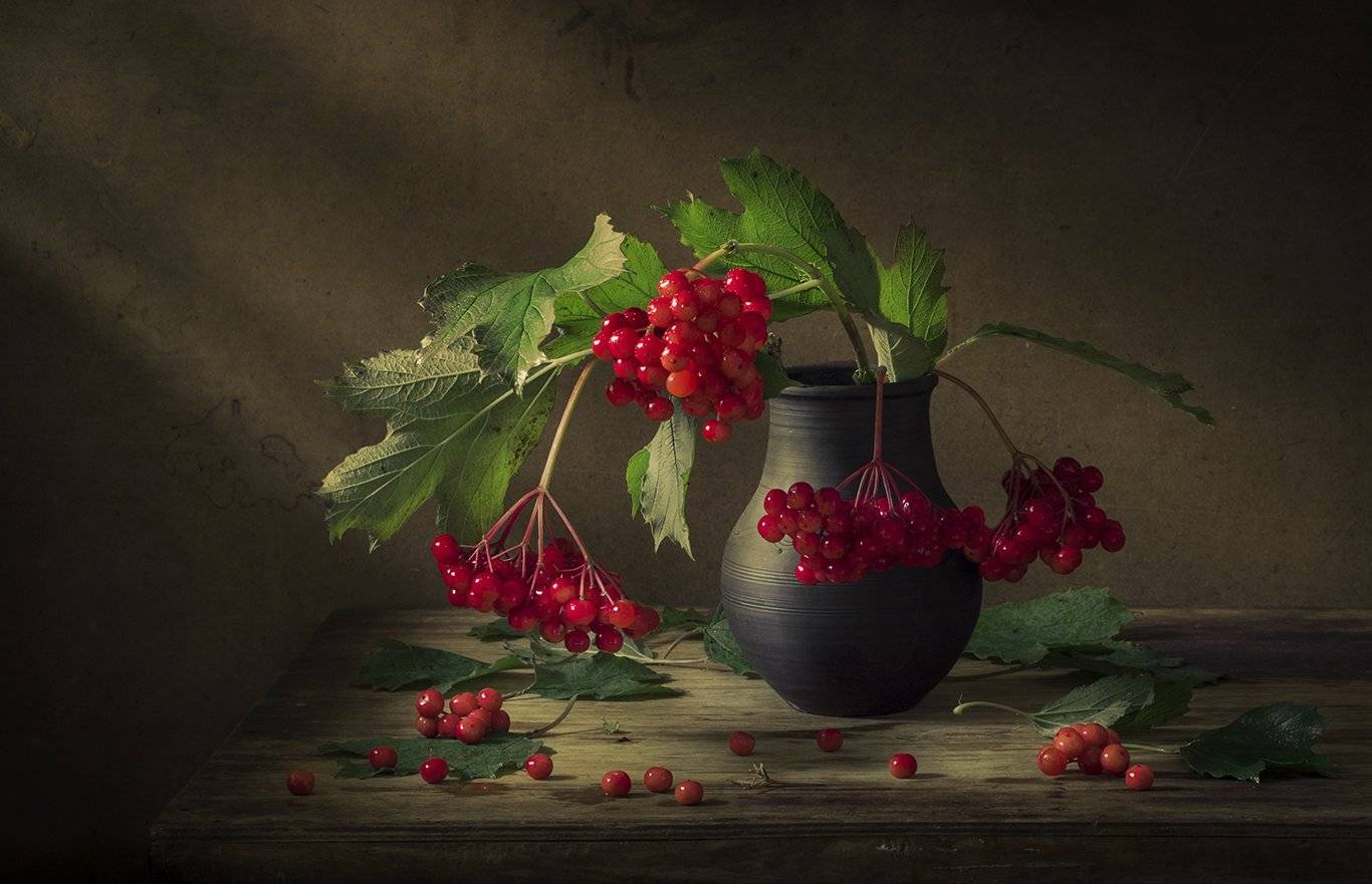 натюрморт,калина, Елена Рубинская