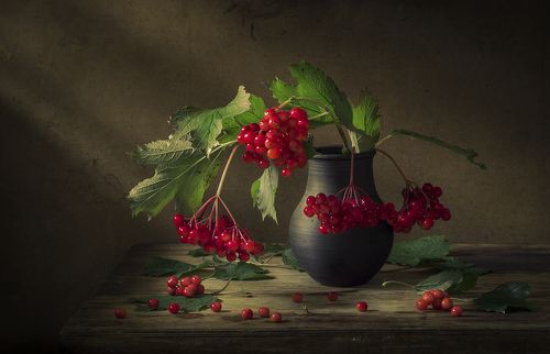 Калина