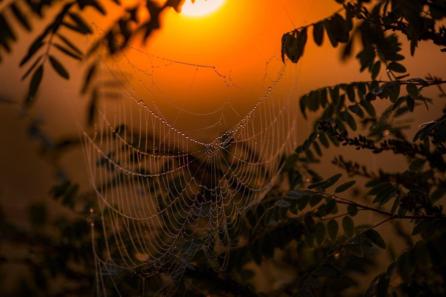 , Юрий Юрьев