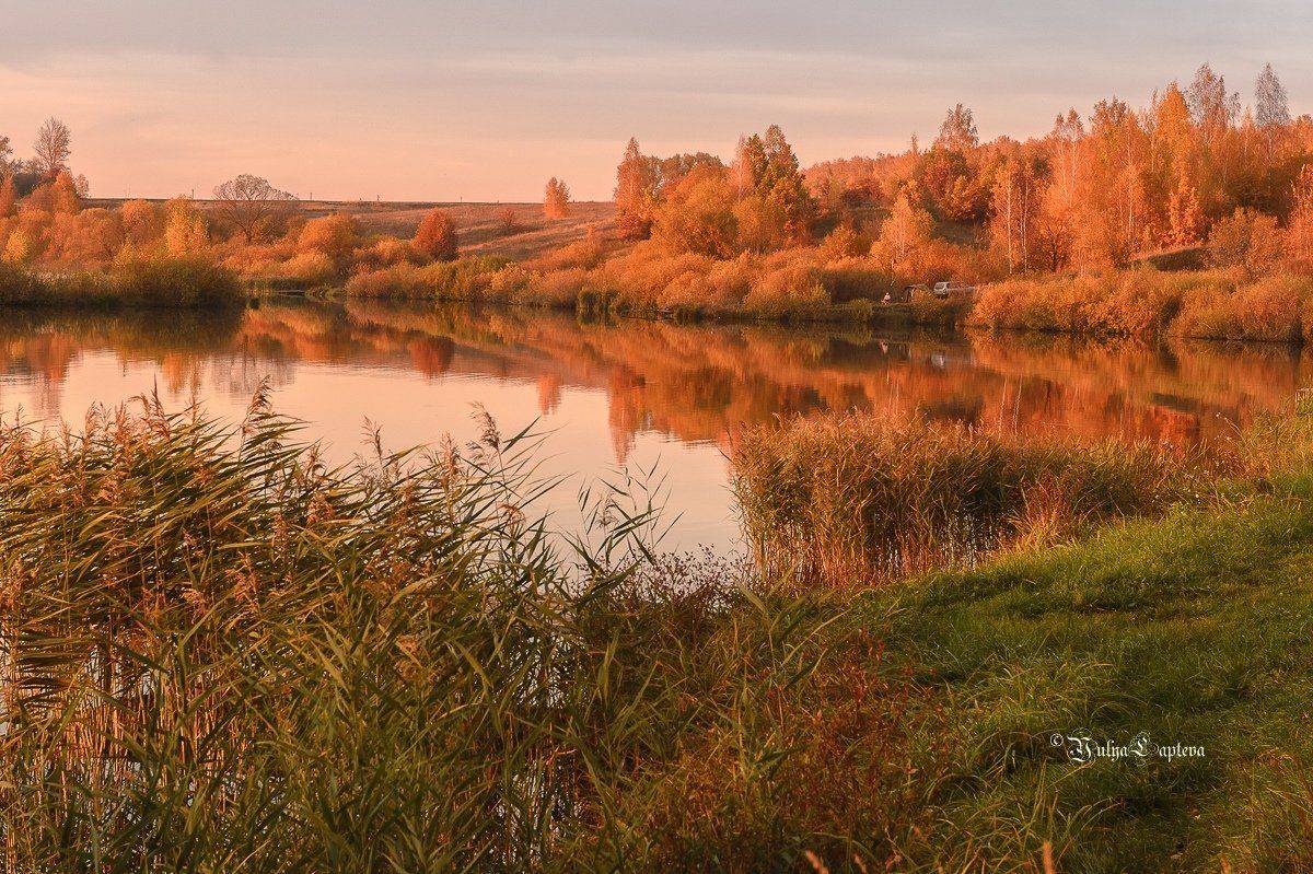 пейзаж,природа,россия,осень,октябрь,красота, Юлия Лаптева