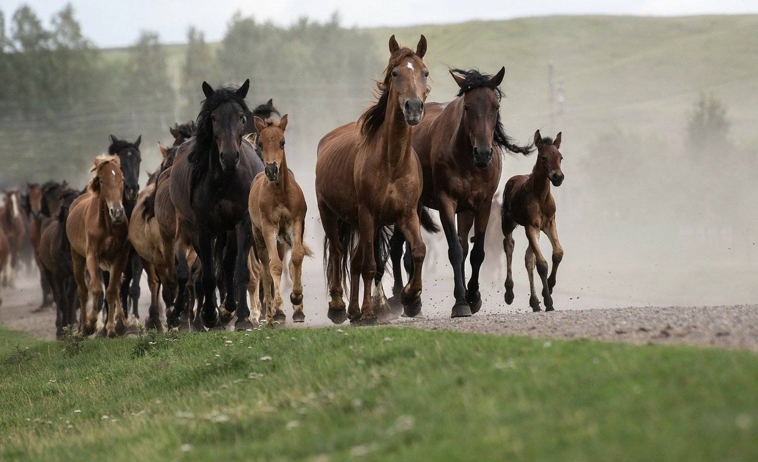 , Марина Фомина