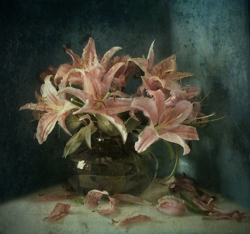 ***** фото превью