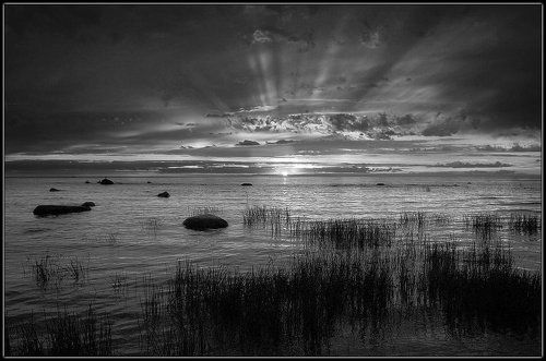 Ладожский восход (ч/б)