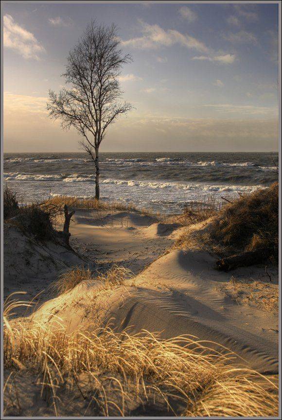 дюны,море,, Павел Дунюшкин