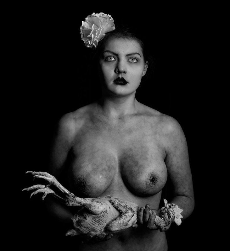 Синяя птица фото превью