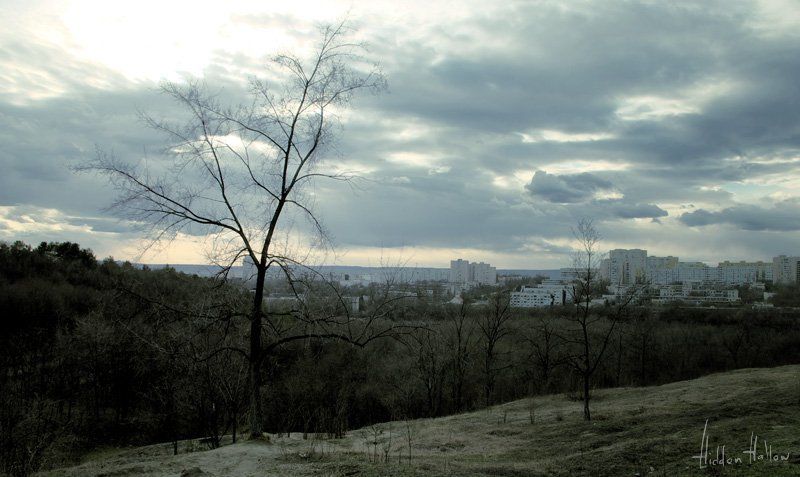 природа, весна На заре весны фото превью