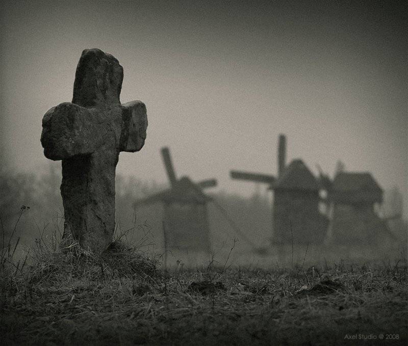 , Alex Vasilenko