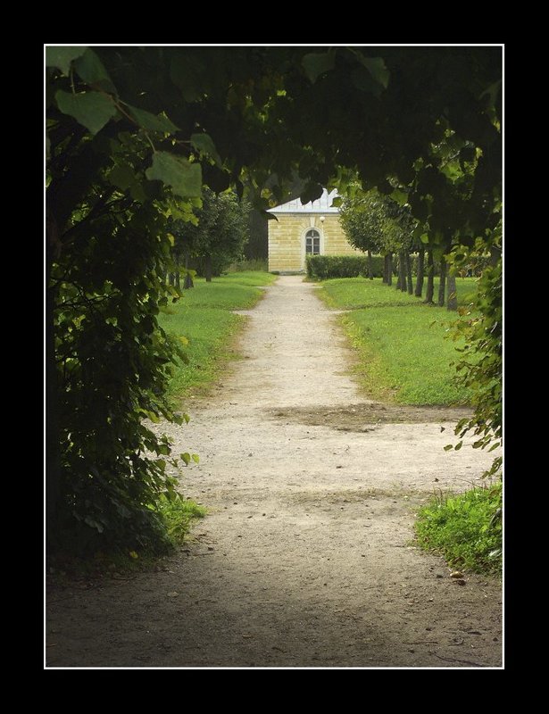 Тропинка. фото превью