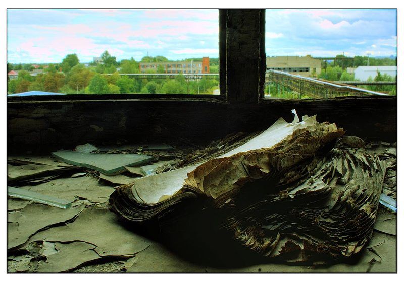 контраст фото превью