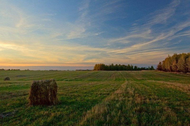 Конец сезона... фото превью