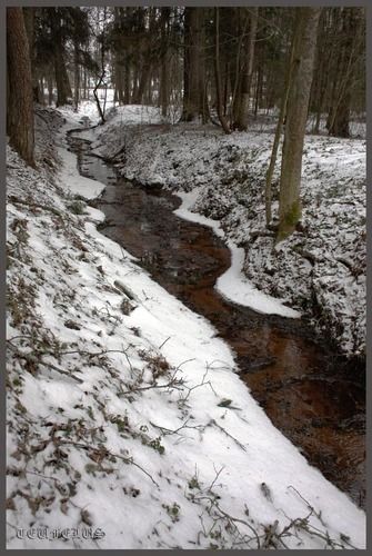 Весна пробивает дорогу