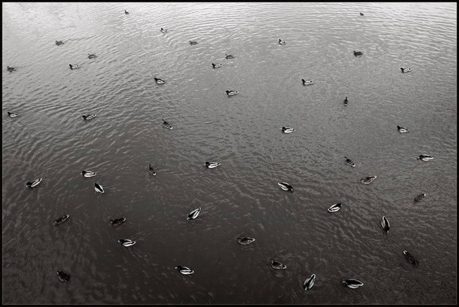 нас много...., Тарасова Катя