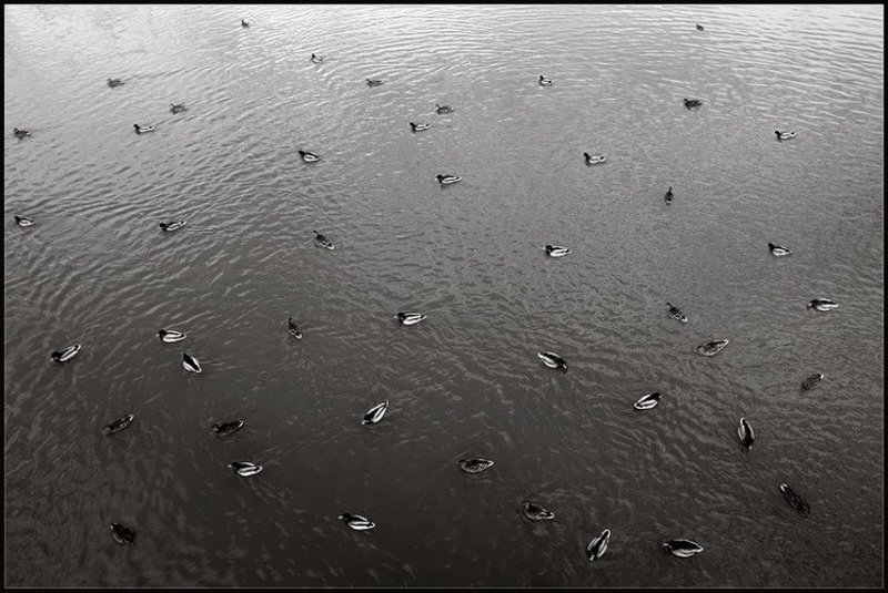 нас много.... нас много.... фото превью