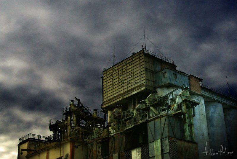 Slow mover фото превью