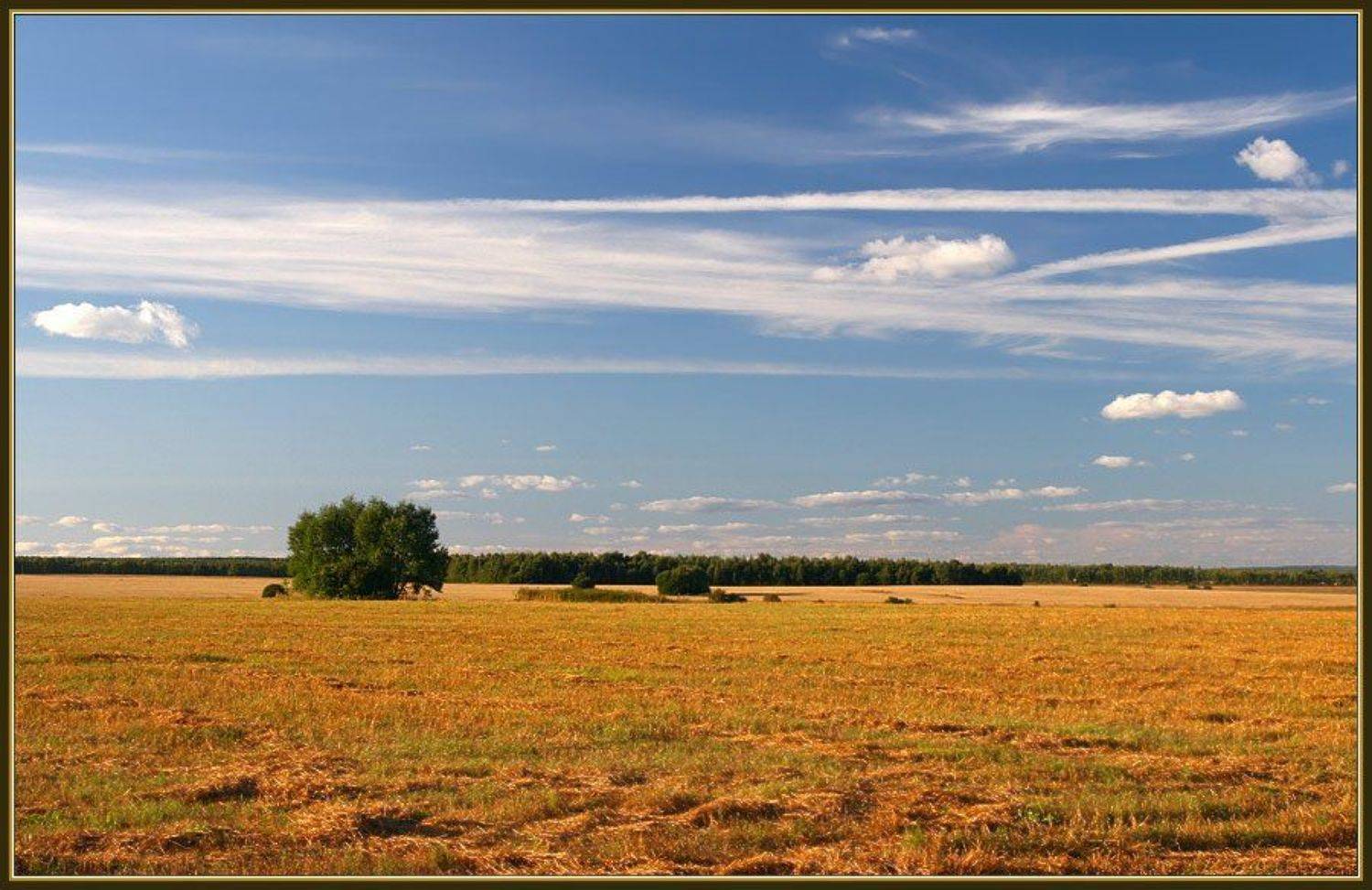 лето поле облака, Георгий