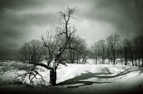 Стрела времени