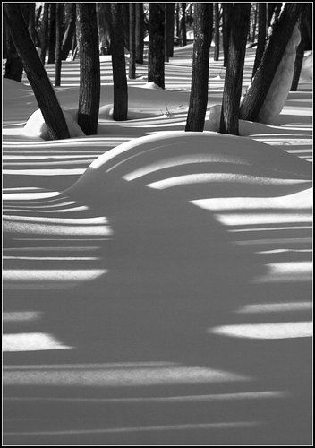 Пролетая над...