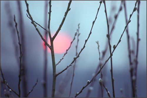 Холодное утро