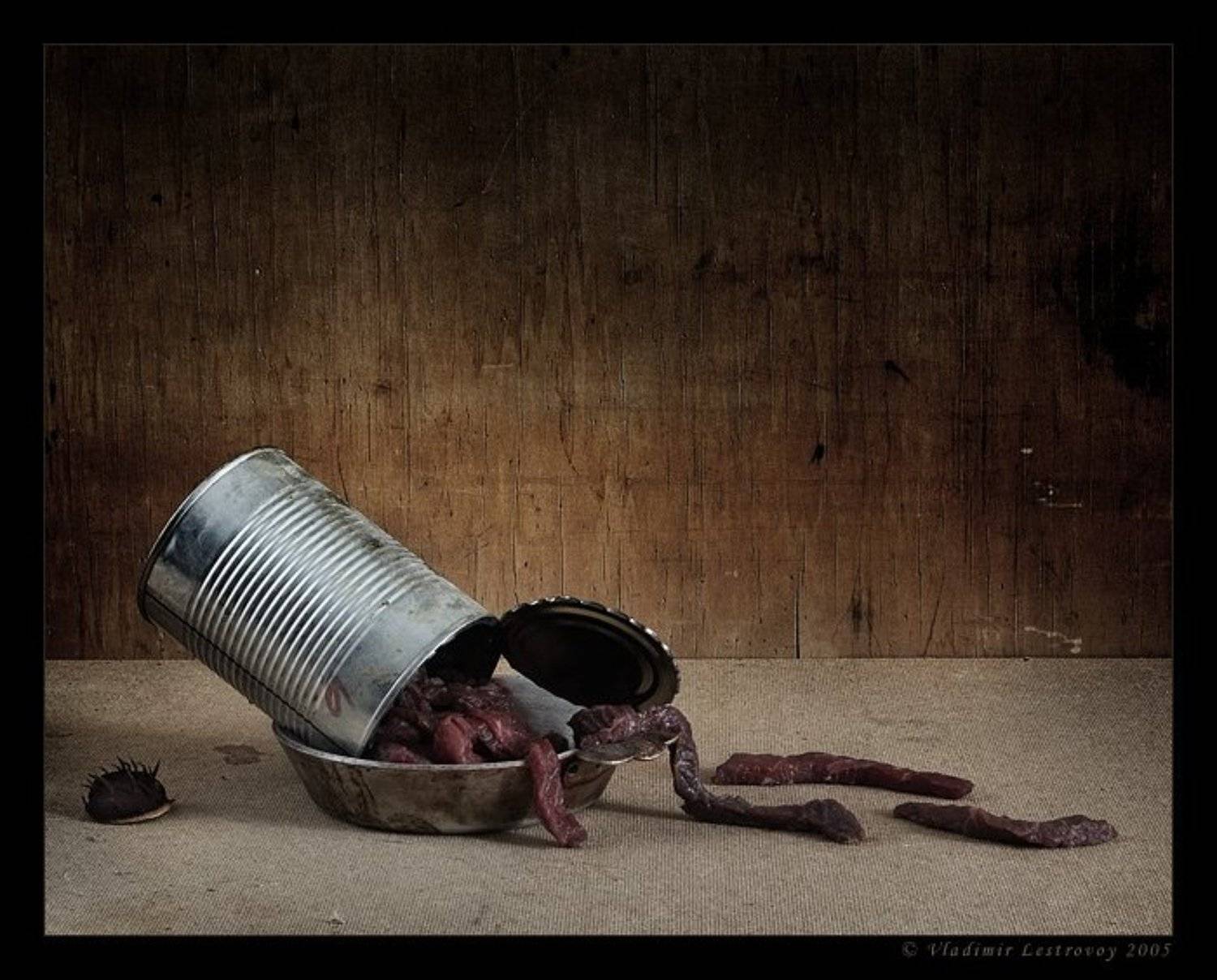 , Владимир Лестровой