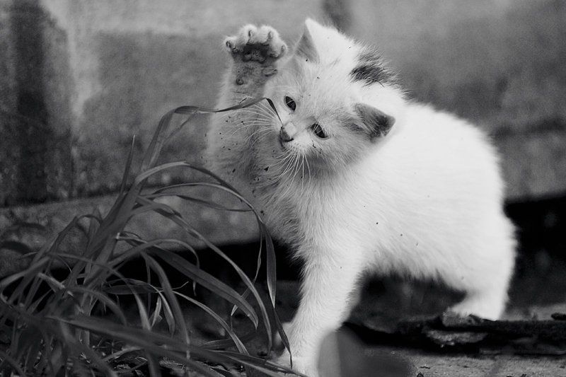 я познаю мир фото превью