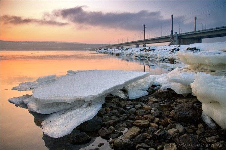 мурманск, Александр Рогачёв