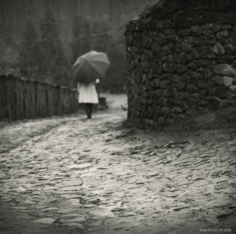 , Alex Vasilenko