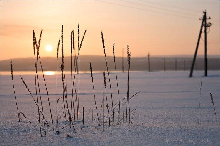 мурманск,март, Александр Рогачёв
