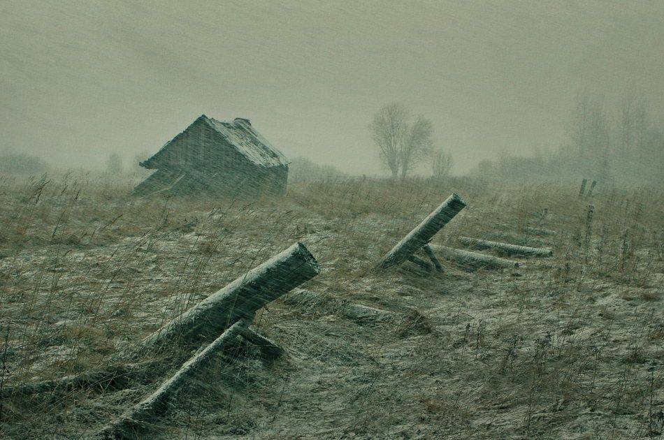 , Владимир Липецких