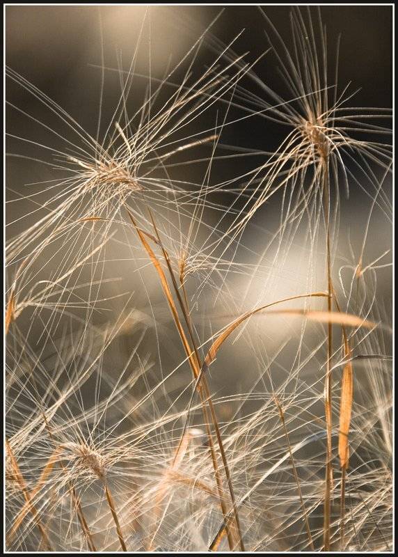 этюд,осень, Качурин Алексей