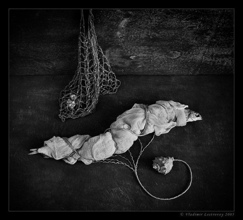 О живучести химер фото превью