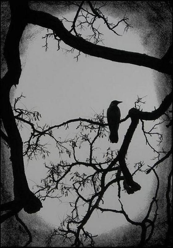 рейвен фото превью