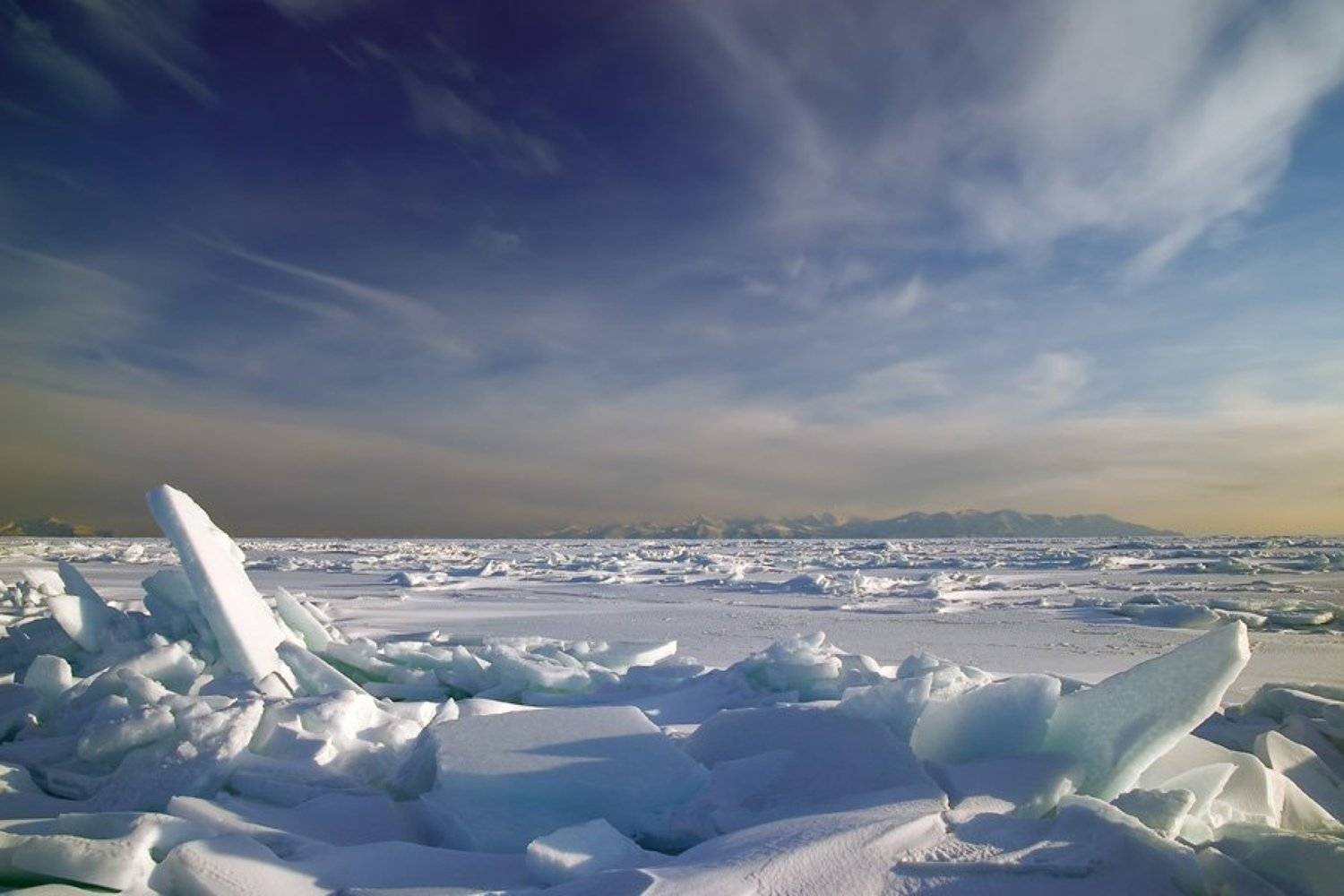 батарейная, Voldemar