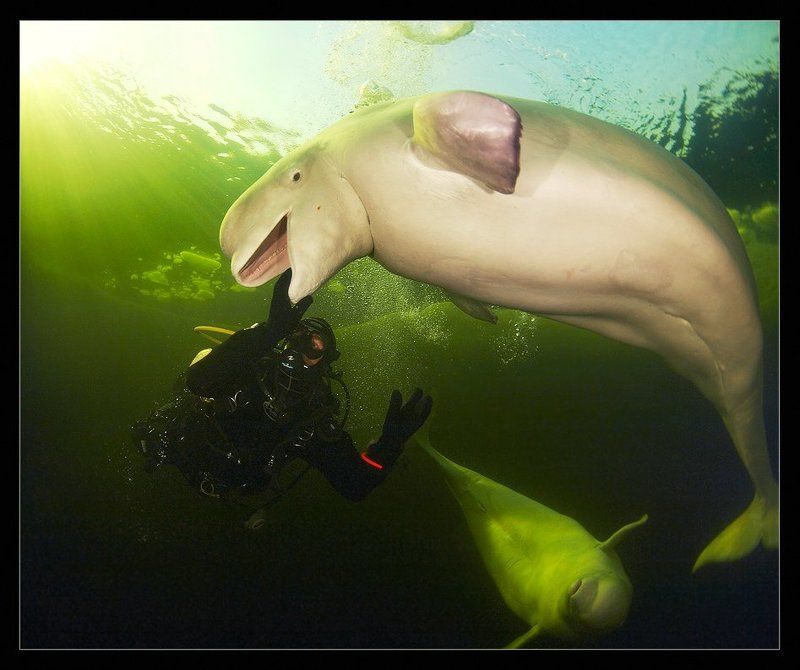 На приеме у стоматолога фото превью