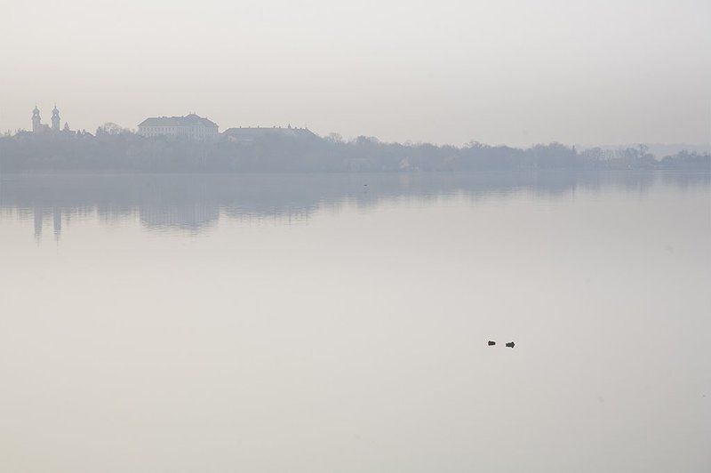 Молочное фото превью