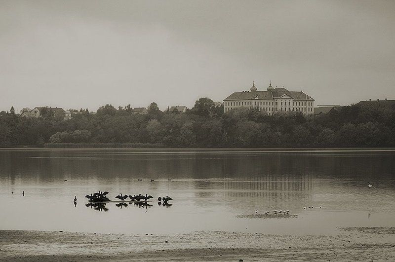 Кофейное фото превью