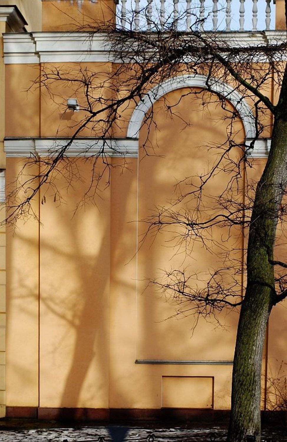 питер, зима кончается, солнце есть!, Kaiser Sozo