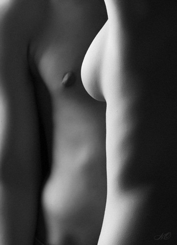 линии грудь сосок Сопоставление фото превью