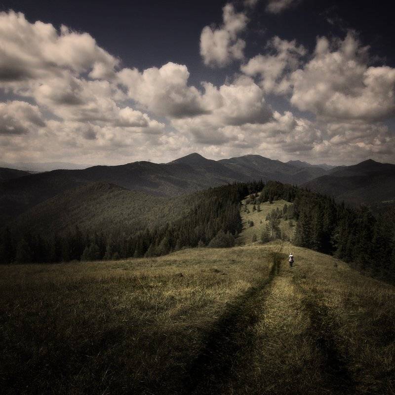 , Alexander Mikhailenko