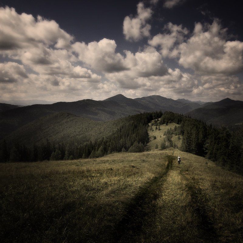 дорогу осилит идущий фото превью