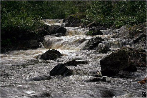 Чёрный ручей_#2