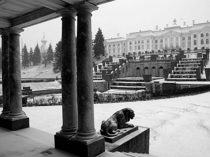 петергоф, петродворец, зима, снег, дожить до весны, депрессивный питер *** фото превью