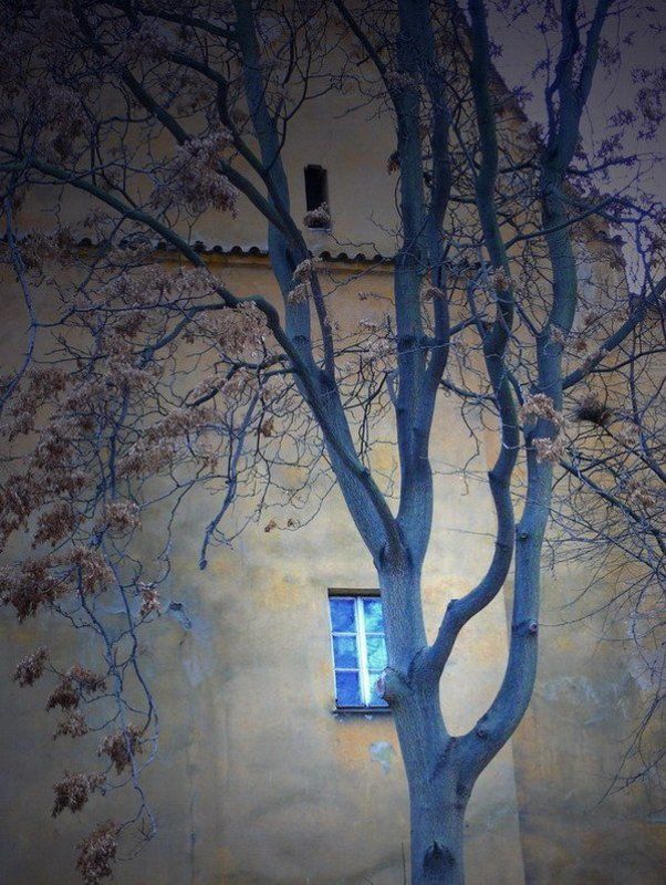 прага Тайное окошко фото превью