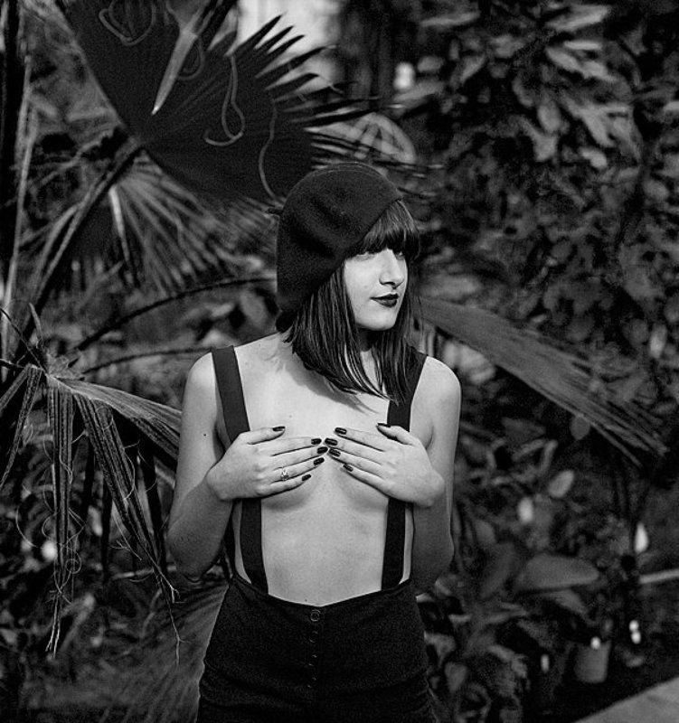 Птичка Фефе фото превью