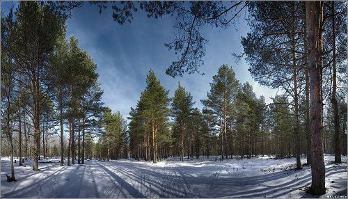 кривотенье