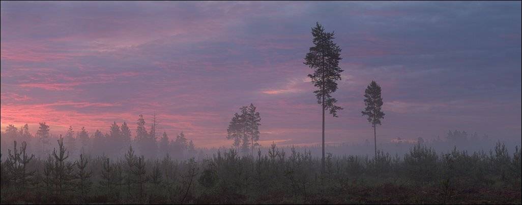 , Сергей Чубаров