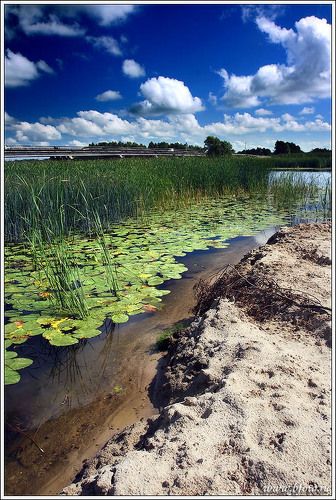 Летом на реке Воронеж